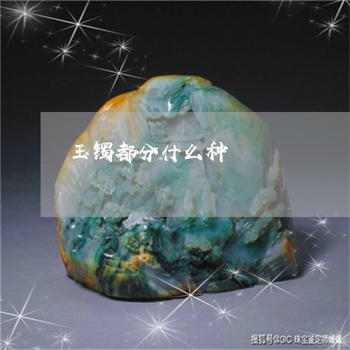 玉镯都分什么种/2023032984794