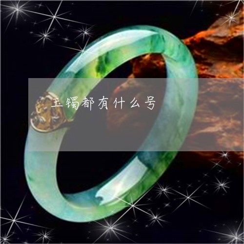玉镯都有什么号/2023032957462