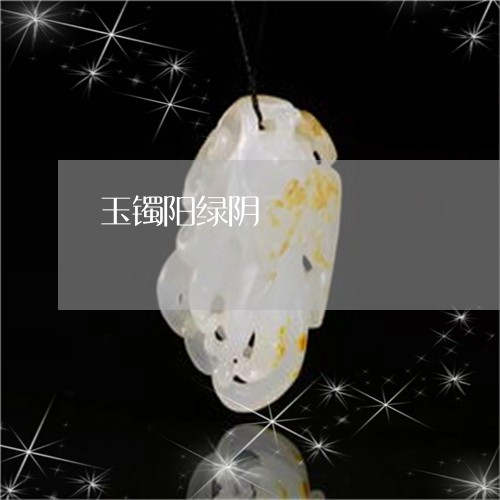 玉镯阳绿阴/2023071426157