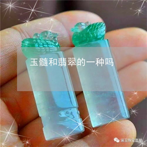 玉髓和翡翠的一种吗/2023041352597