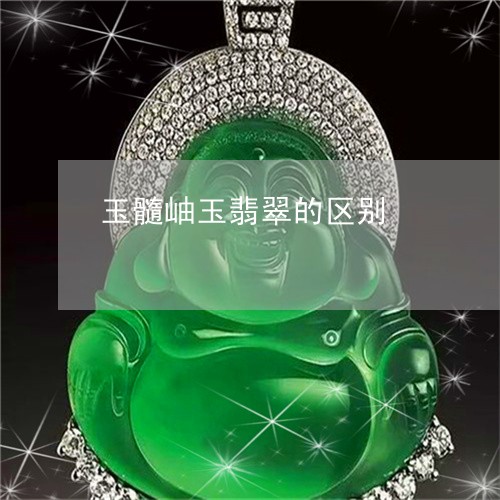 玉髓岫玉翡翠的区别/2023041314947