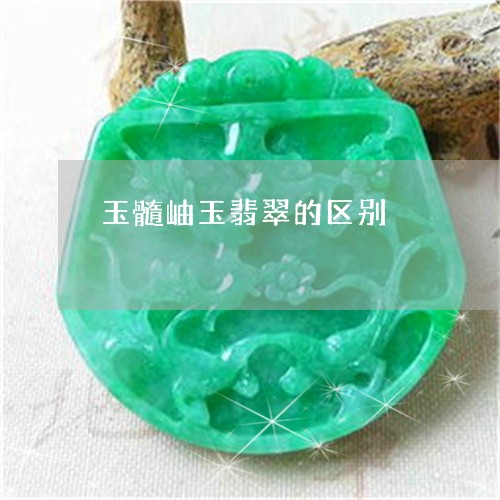 玉髓岫玉翡翠的区别/2023041396069