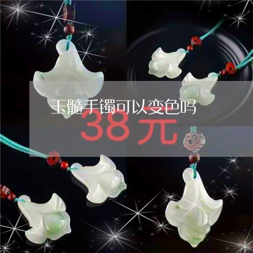 玉髓手镯可以变色吗/2023041340583