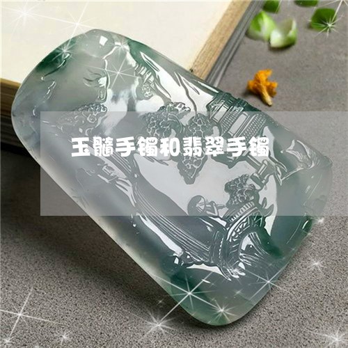 玉髓手镯和翡翠手镯/2023041304925