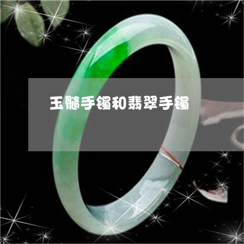 玉髓手镯和翡翠手镯/2023041374716