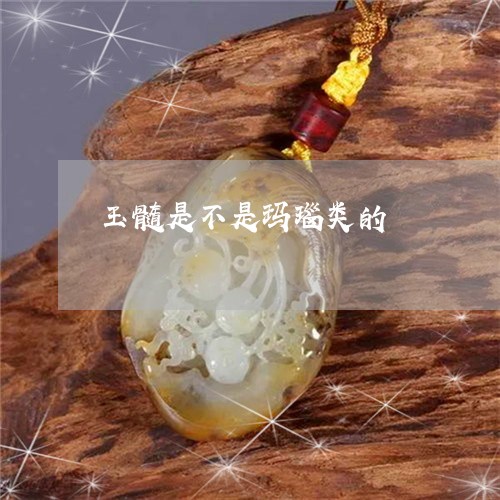 玉髓是不是玛瑙类的/2023041340593