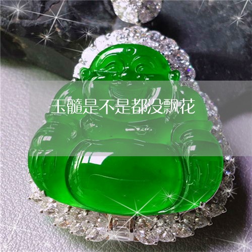 玉髓是不是都没飘花/2023041327271