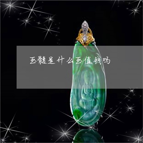 玉髓是什么玉值钱吗/2023041317248