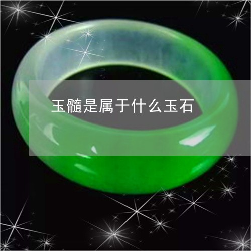 玉髓是属于什么玉石/2023041301381