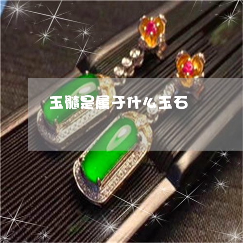 玉髓是属于什么玉石/2023041348403