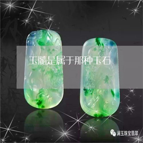 玉髓是属于那种玉石/2023041395719