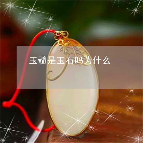 玉髓是玉石吗为什么/2023041328171