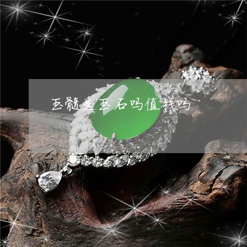 玉髓是玉石吗值钱吗/2023041384815