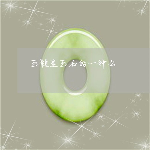 玉髓是玉石的一种么/2023041382614