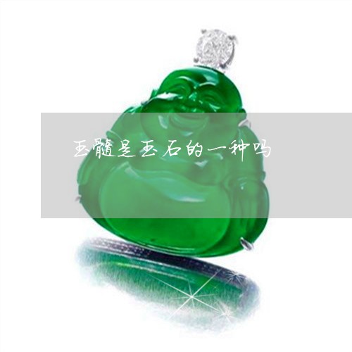 玉髓是玉石的一种吗/2023041390594