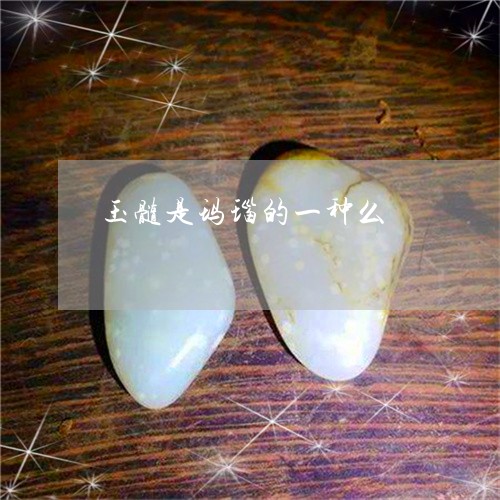玉髓是玛瑙的一种么/2023041307159