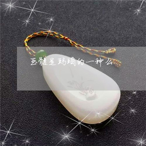 玉髓是玛瑙的一种么/2023041327039