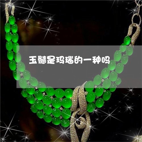 玉髓是玛瑙的一种吗/2023041313614