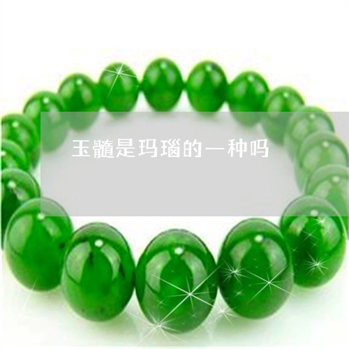 玉髓是玛瑙的一种吗/2023041338371