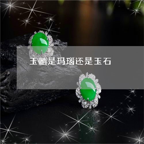 玉髓是玛瑙还是玉石/2023041329372