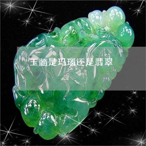 玉髓是玛瑙还是翡翠/2023041307250