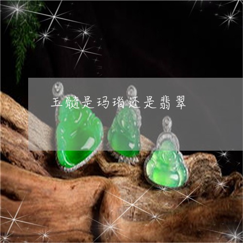 玉髓是玛瑙还是翡翠/2023041318269