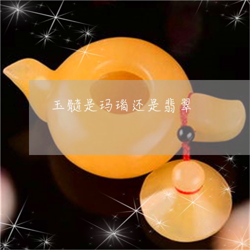 玉髓是玛瑙还是翡翠/2023041382705