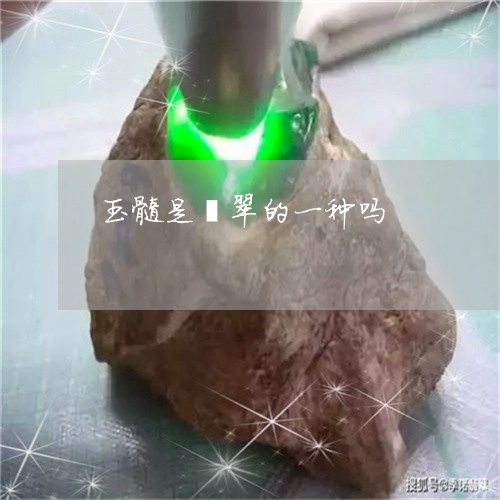 玉髓是翡翠的一种吗/2023041365608