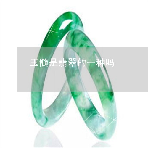 玉髓是翡翠的一种吗/2023041390402