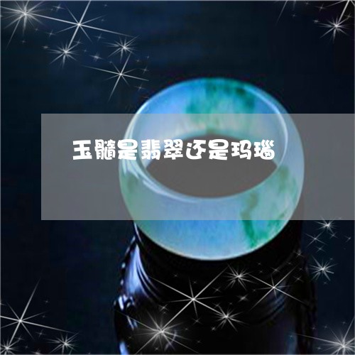玉髓是翡翠还是玛瑙/2023041318382