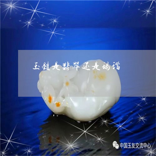 玉髓是翡翠还是玛瑙/2023041351571