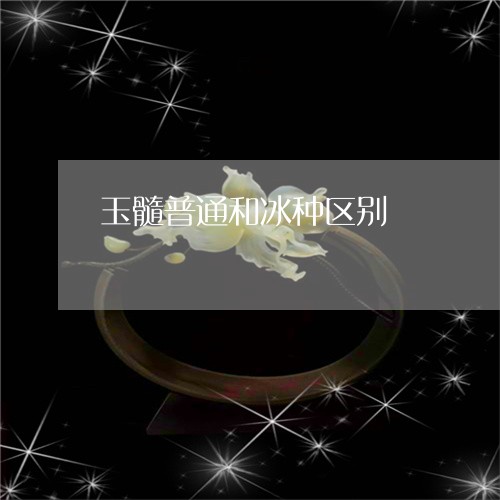 玉髓普通和冰种区别/2023041342804