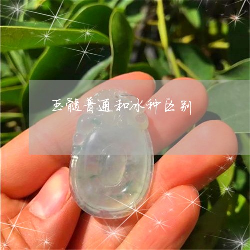 玉髓普通和冰种区别/2023041359492