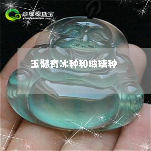 玉髓有冰种和玻璃种/2023041381606