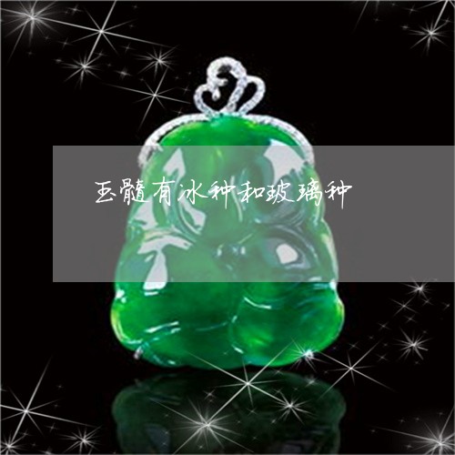 玉髓有冰种和玻璃种/2023041384824