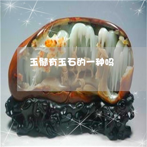 玉髓有玉石的一种吗/2023041341490