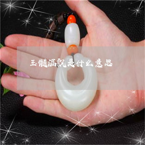 玉髓漏飘是什么意思/2023041338260