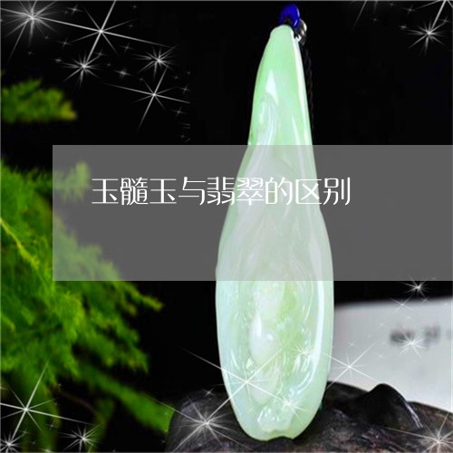 玉髓玉与翡翠的区别/2023041351404