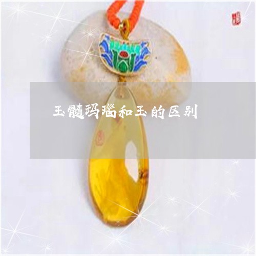 玉髓玛瑙和玉的区别/2023041338581