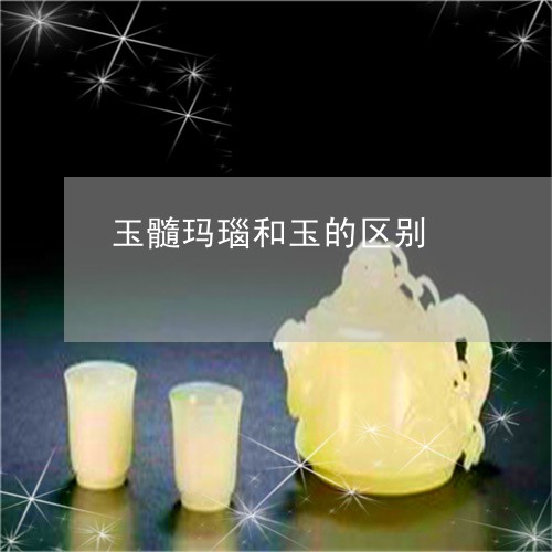 玉髓玛瑙和玉的区别/2023041394836