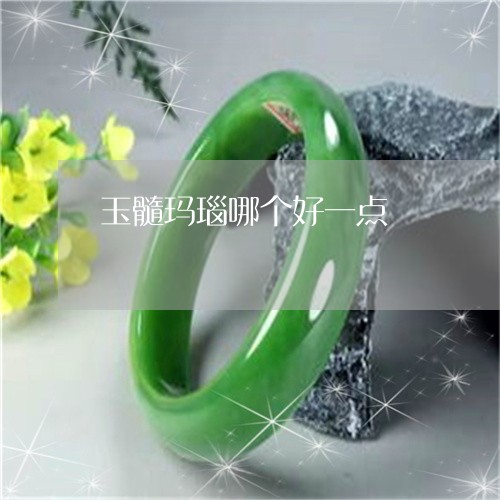玉髓玛瑙哪个好一点/2023041372806