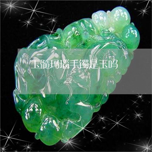 玉髓玛瑙手镯是玉吗/2023041306069