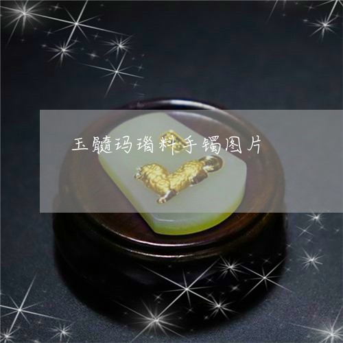玉髓玛瑙料手镯图片/2023041316025