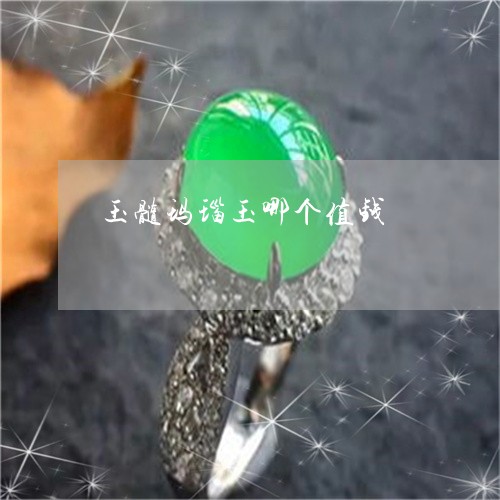 玉髓玛瑙玉哪个值钱/2023041360624