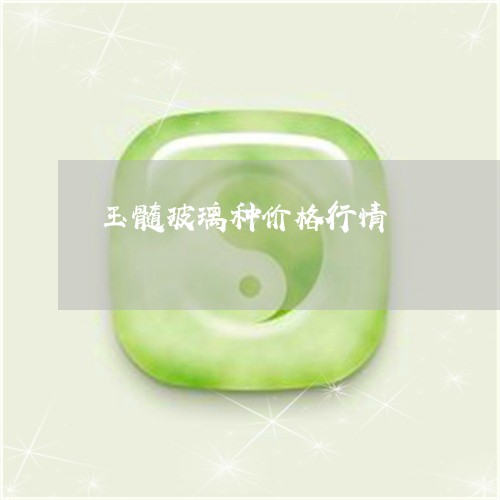 玉髓玻璃种价格行情/2023041308060