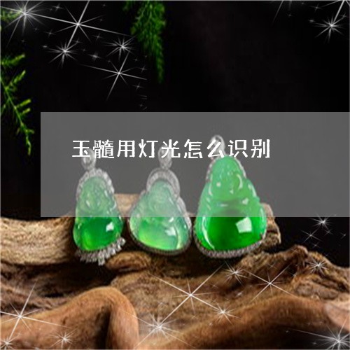 玉髓用灯光怎么识别/2023041352693