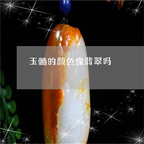 玉髓的颜色像翡翠吗/2023041332592