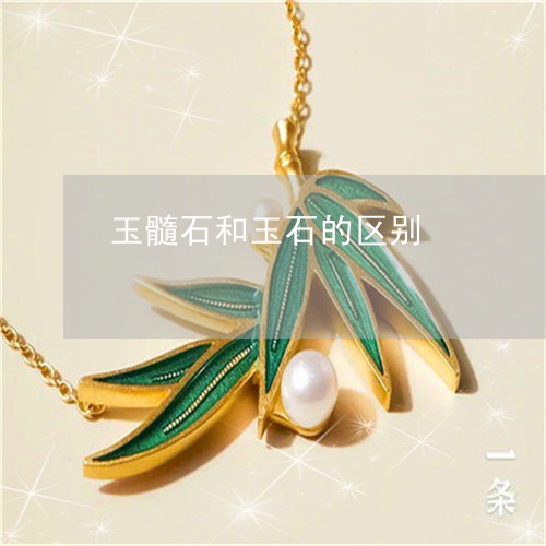 玉髓石和玉石的区别/2023041304026