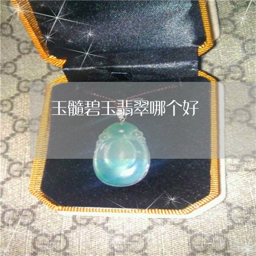 玉髓碧玉翡翠哪个好/2023041318270