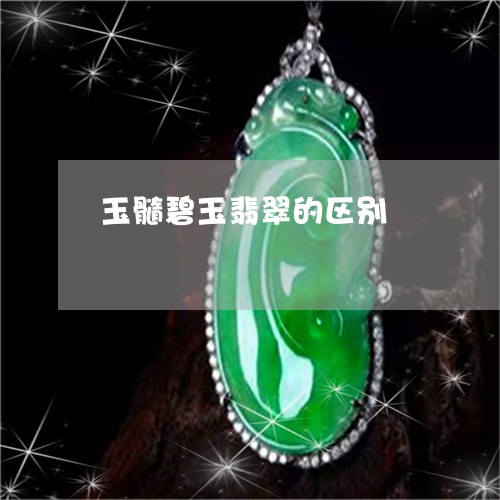 玉髓碧玉翡翠的区别/2023041327159